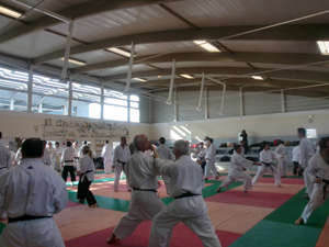 La pratique du Shotokai